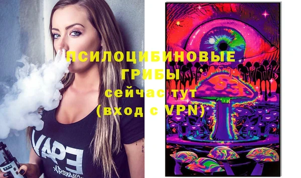 винт Абаза