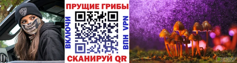 блэк спрут ССЫЛКА  Удомля  Псилоцибиновые грибы Psilocybe 