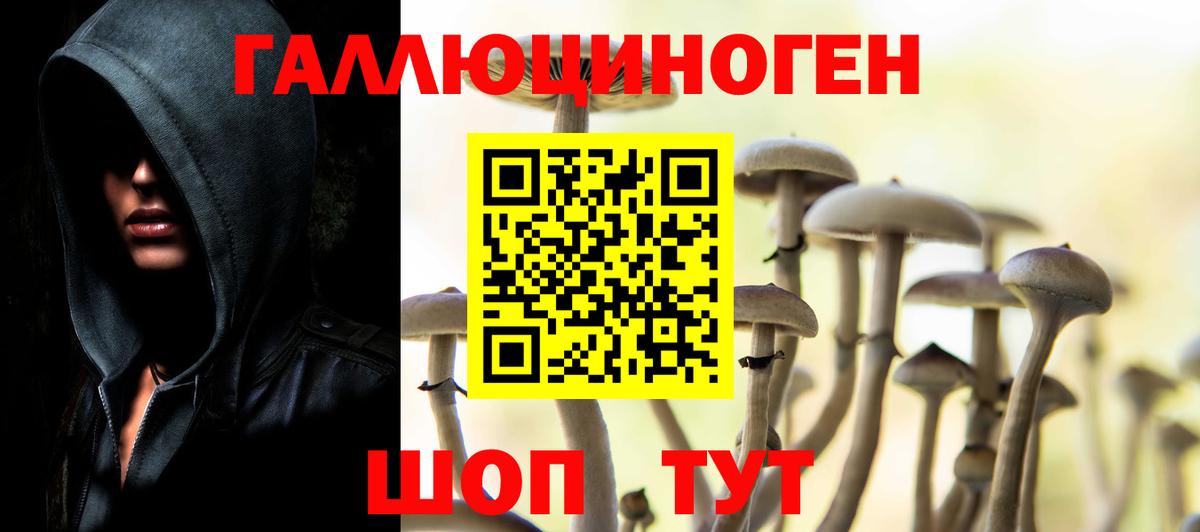 купить   Галлюциногенные грибы Psilocybine cubensis  Вход с VPN  Псилоцибиновые грибы мухоморы  Удомля 